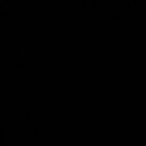 Meet your Posher, Shawntane